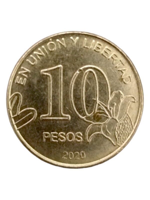 ARGENTINA 10 PESOS AÑO 2020 CALDEN