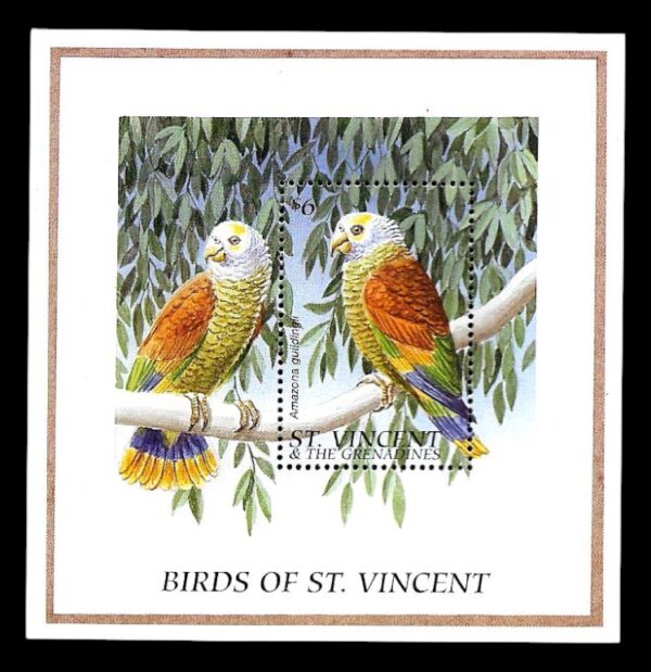 #27000 SAINT VINCENT 1996 PAJAROS AVES LORO HOJA YV 344 MNH AMAZON GUILDINGLI - Imagen 2